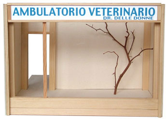 veterinario